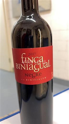 Insulele Baleare Binissalem Finca Biniagual Negre 2017